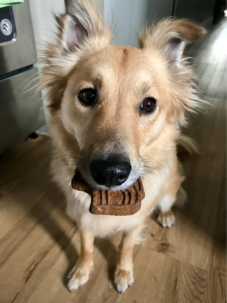 Vic Vela tweet media