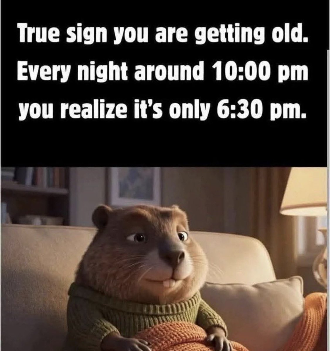 Space Donkey ©️ 🦖 (@spacedonkey1) on Twitter photo 