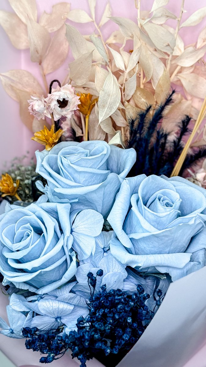 Skfleursg's tweet image. Say it with calm: 3 Preserved Powder Blue Roses, handcrafted and maintenance-free. Perfect for anniversaries, graduations or as a serene home accent.

Order now: wix.to/7YEWsxs

#PreservedRoses #PowderBlue #SKfleurSG #FlowerDelivery #GiftIdeas