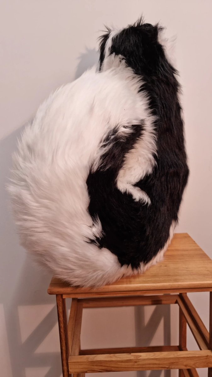 Izanagi_studios's tweet photo. Do you think I make all the fursuits myself? Of course not! I’m not a masochist  I use furry black magic to make them. This is one of my rituals.

#furryfandom #FurryTails #furrycommunity #fursuitmaker #fursuittutorial #fursuiter https://t.co/oVMwDXZqMr