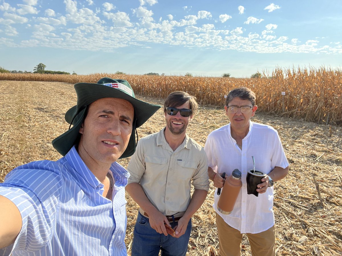 Nahuel Reussi Calvo tweet media