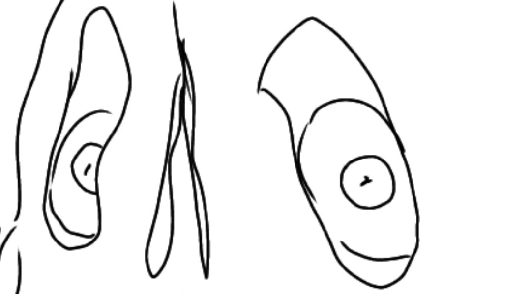 SFF - SFW (Hiatus) tweet media