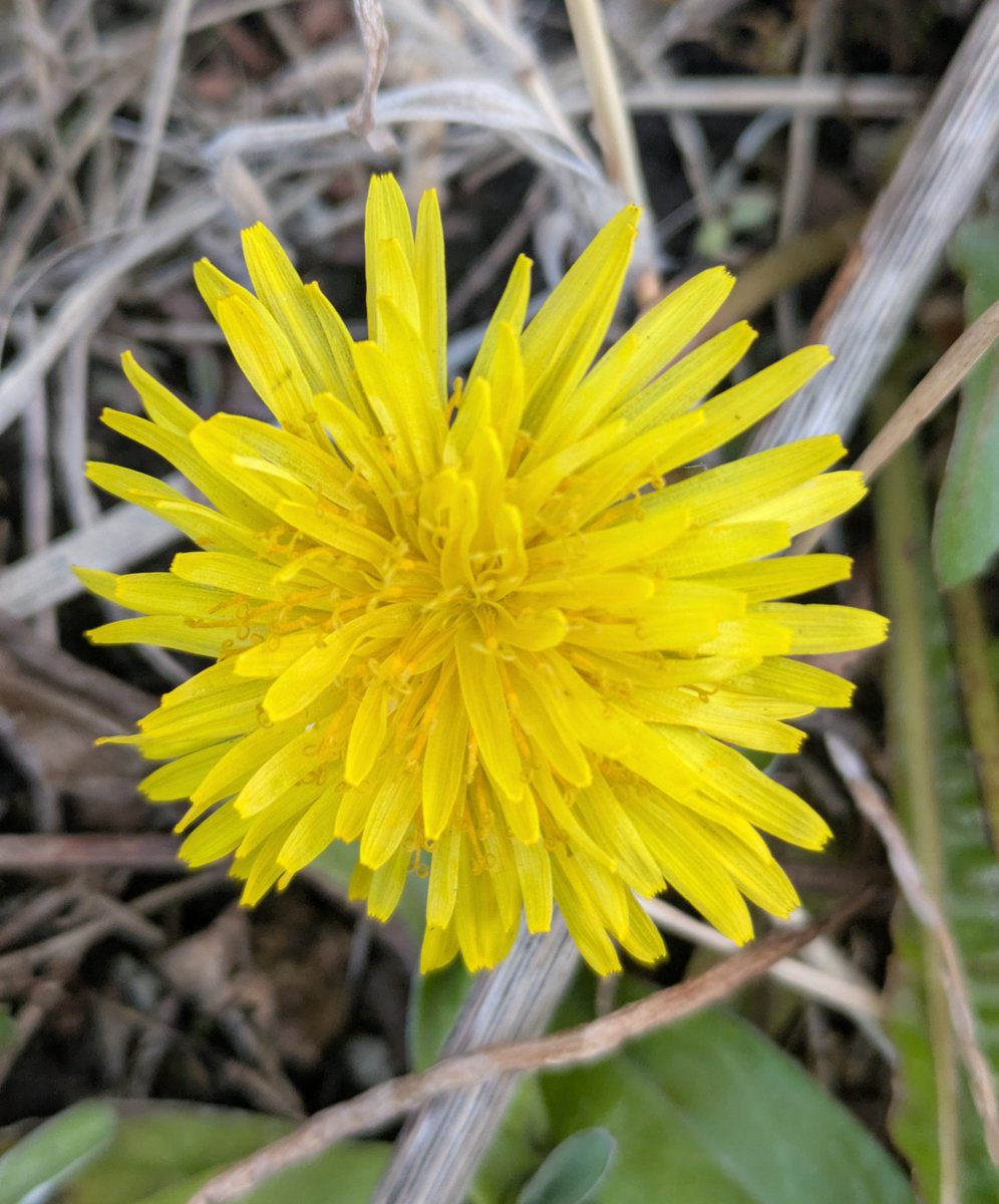 無意味に徹夜をしちまった…寝る前にちょっとだけ映画を観ようとか思っ