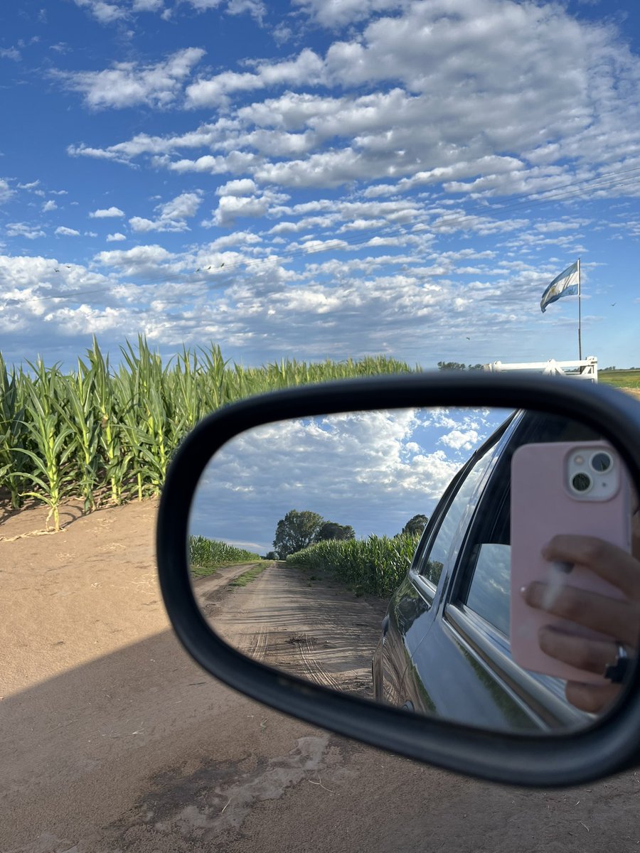 milicalvo_'s tweet photo. Las tardes acá 🌾🍃❤️‍🩹 https://t.co/xRXviP643Z