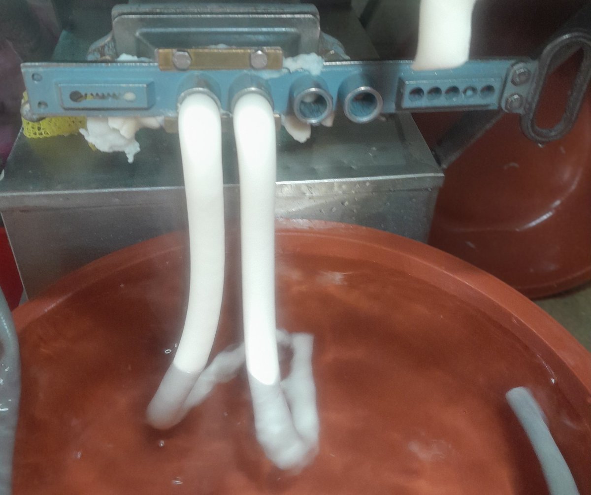 The lunar new year's day special.