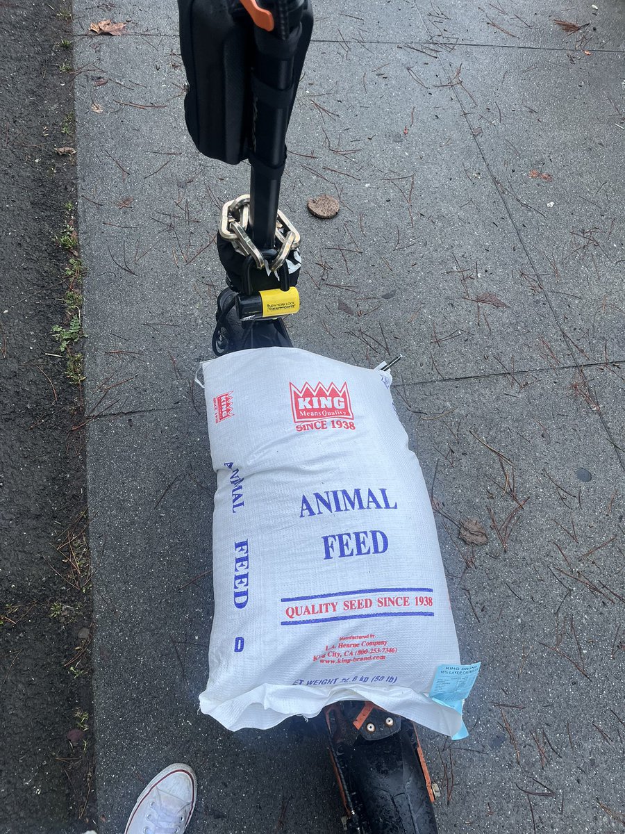 Always catching envious eyes when they see me riding on top of my 50lb 16% protein chicken crumbles 😒