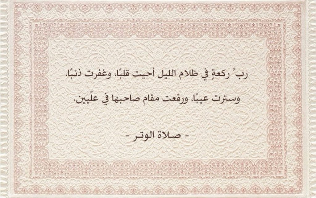 ربى المطيري tweet media