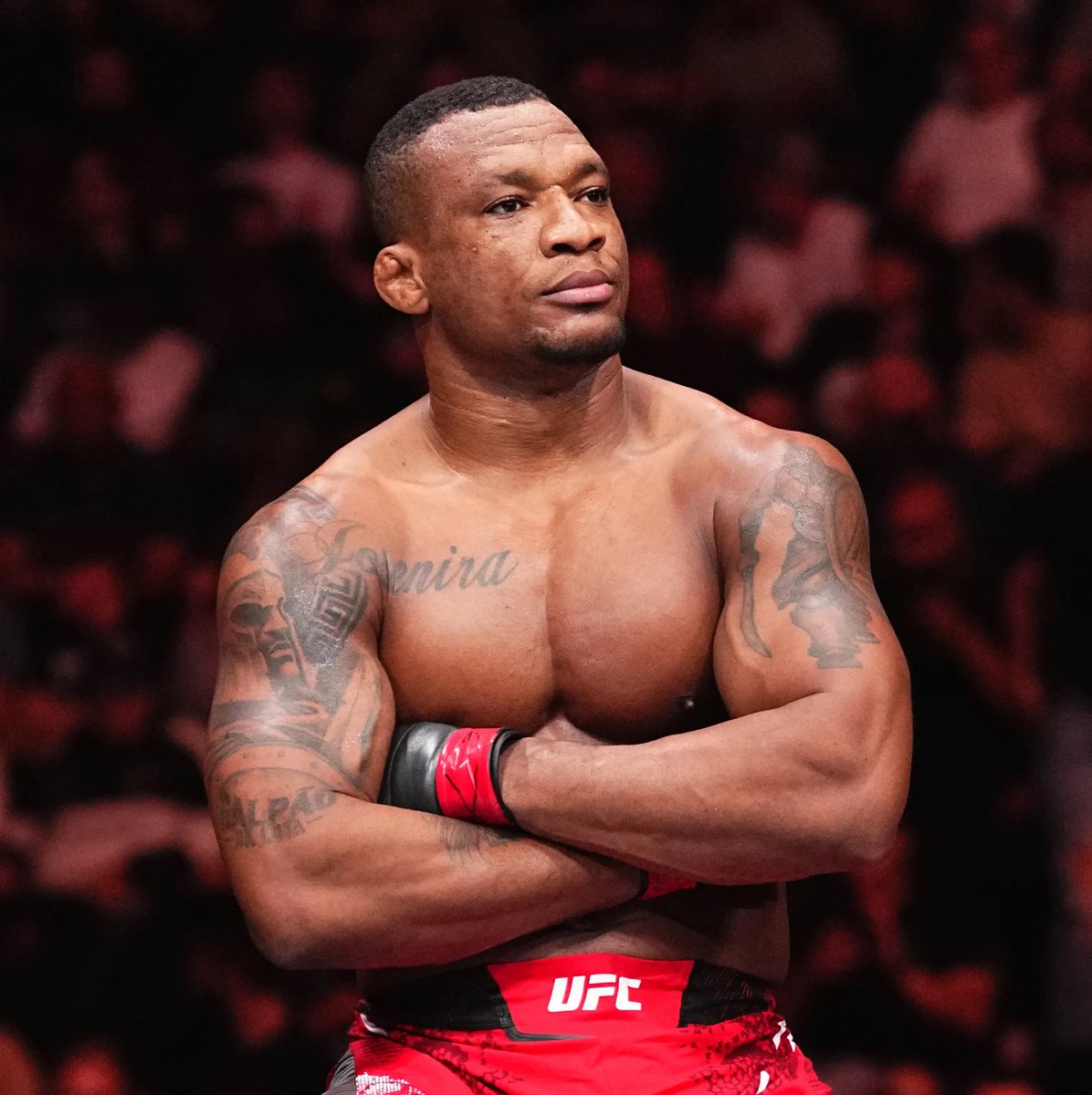 ACD MMA tweet media