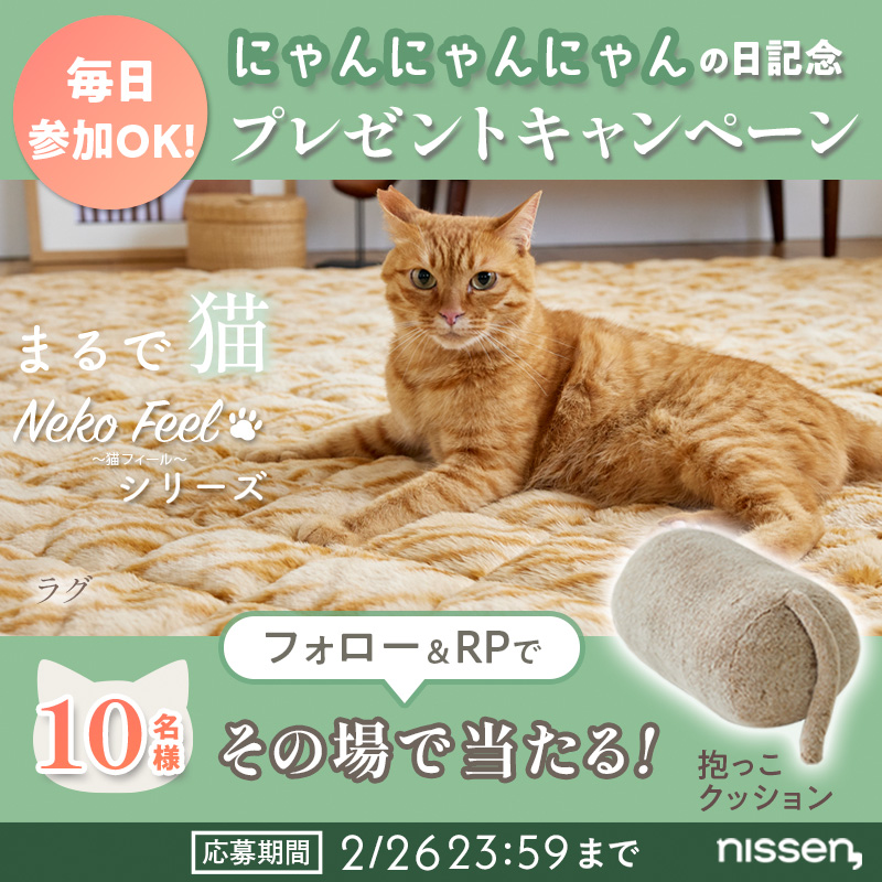nissen's tweet photo. ＼猫Feelキャンペーン／2日目

2月22日は「猫の日」。
多少のいたずらならこの日は許せてしまう…
というわけで、10名様に【猫Feel抱っこクッション】プレゼント！
猫への熱い想いもぜひリプで聞かせてね。

①このアカウントをフォロー
②この投稿RP（2/22 10:59迄）
③当選なら即DMが届く！ https://t.co/RkkSL4RnOl