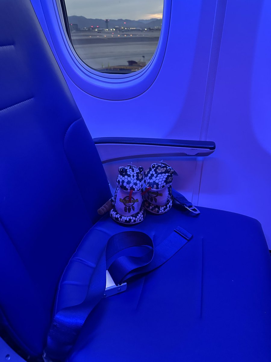 TheJayMan07's tweet photo. There are too many snakes on this plane!  🐍✈️ .  @SouthwestAir https://t.co/I7wIkP2lXN