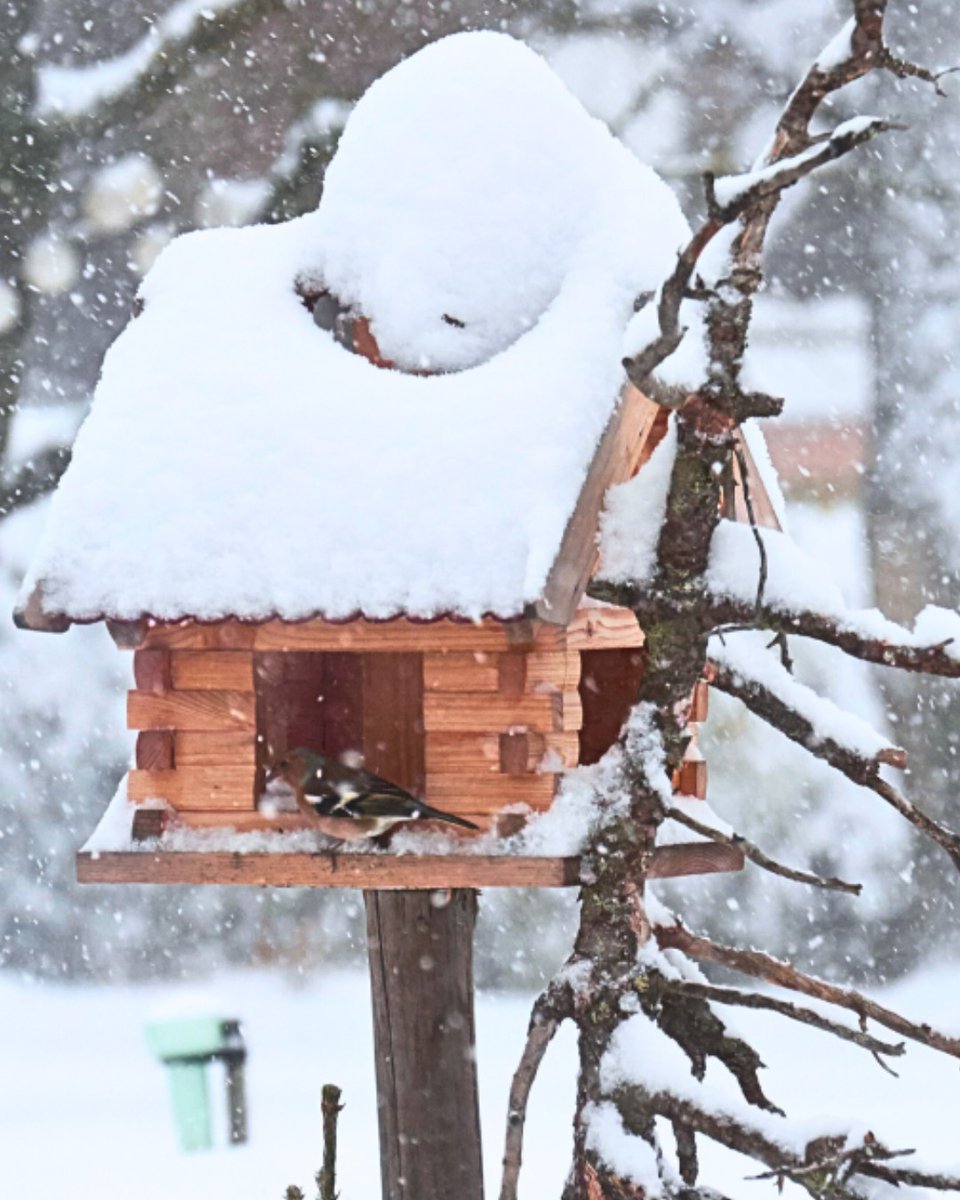 ShakerLakes tweet media