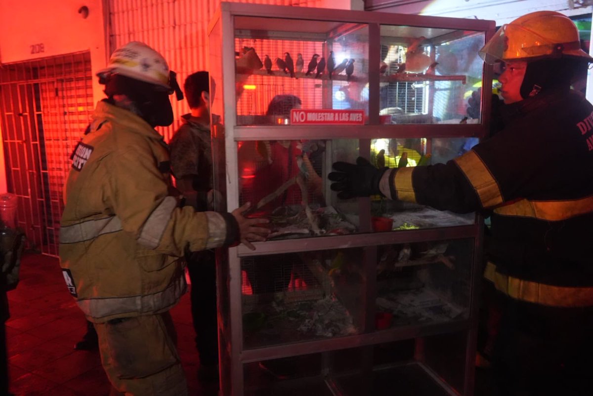 Bomberos Guayaquil tweet media