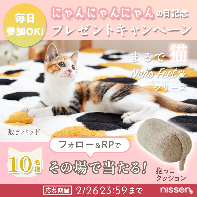 nissen's tweet photo. ＼猫Feelキャンペーン／5日目

2月22日は「猫の日」でした。
祝祭が終わっても、猫との日常は365日が特別。
…というわけで、10名様に【猫Feel抱っこクッション】プレゼント！
猫への熱い想いはリプでどうぞ。

①このアカウントをフォロー
②この投稿RP（2/25 10:59迄）
③当選なら即DMが届く！ https://t.co/M3SazEGOyj
