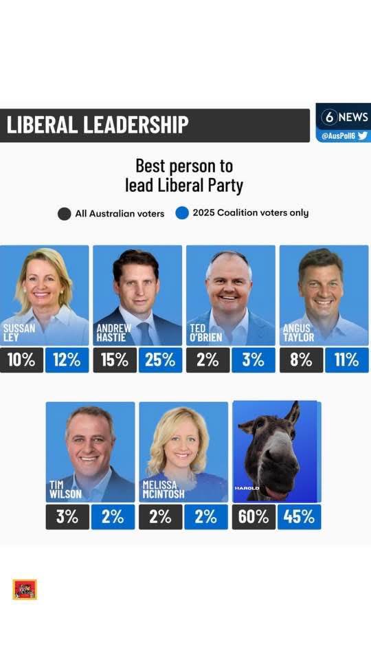Sonja Terpstra MP 🐓 tweet media
