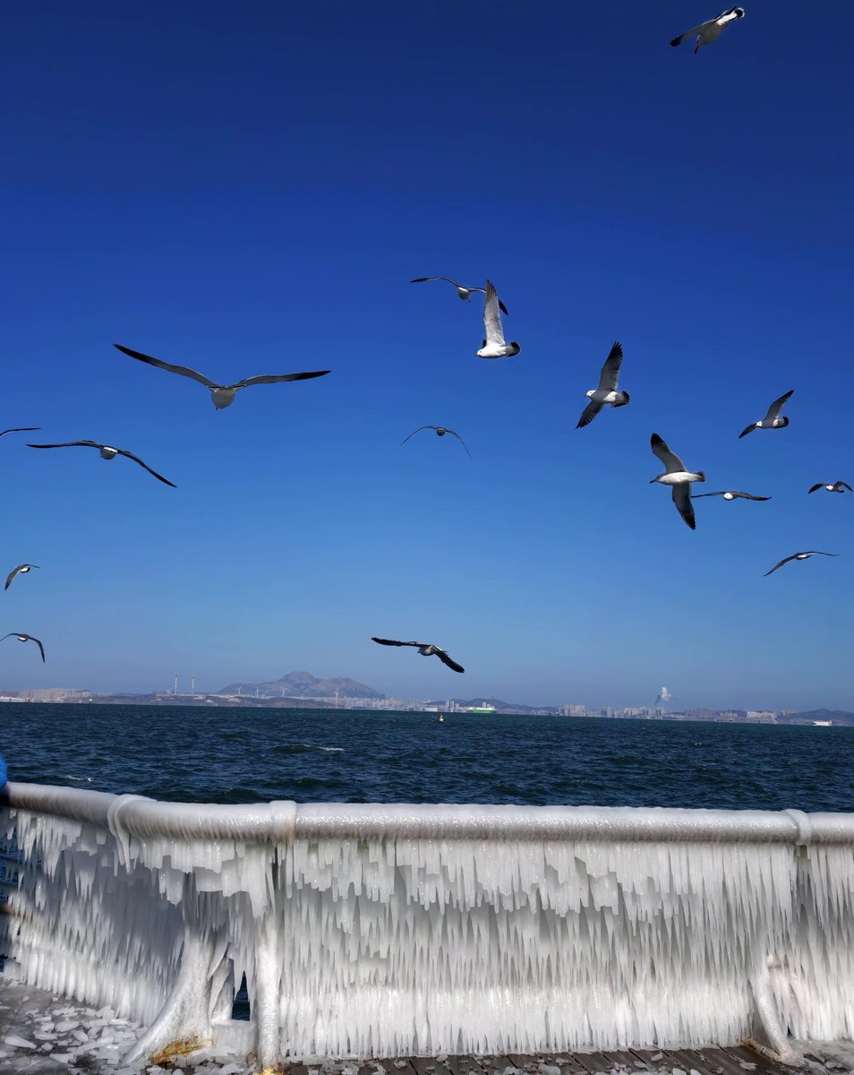 WeenShelly's tweet photo. A seaside city—China Dalian https://t.co/ytQUEqADex