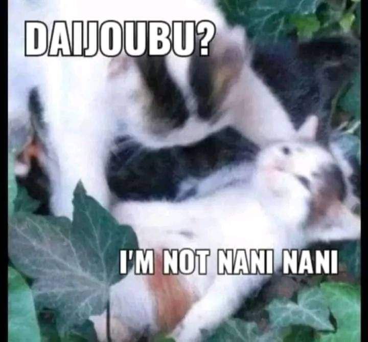 𝑮𝒓𝒆𝒚🌷 tweet media