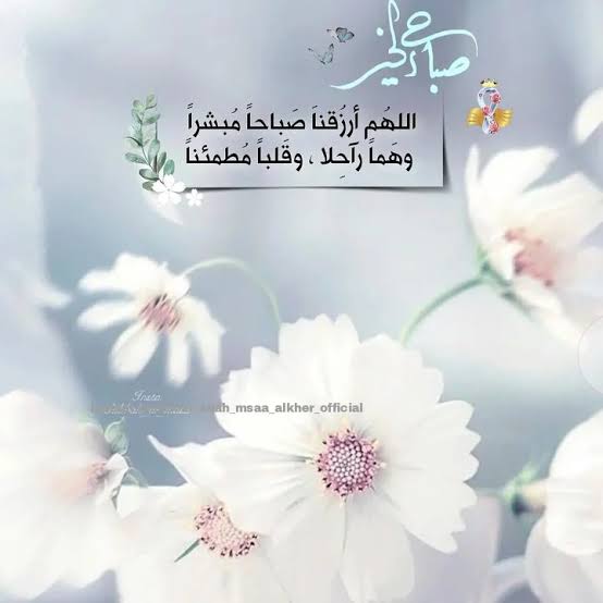 15_العميد (@blue15blue11) on Twitter photo 