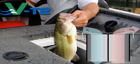 Bass Fishing Tips tweet media
