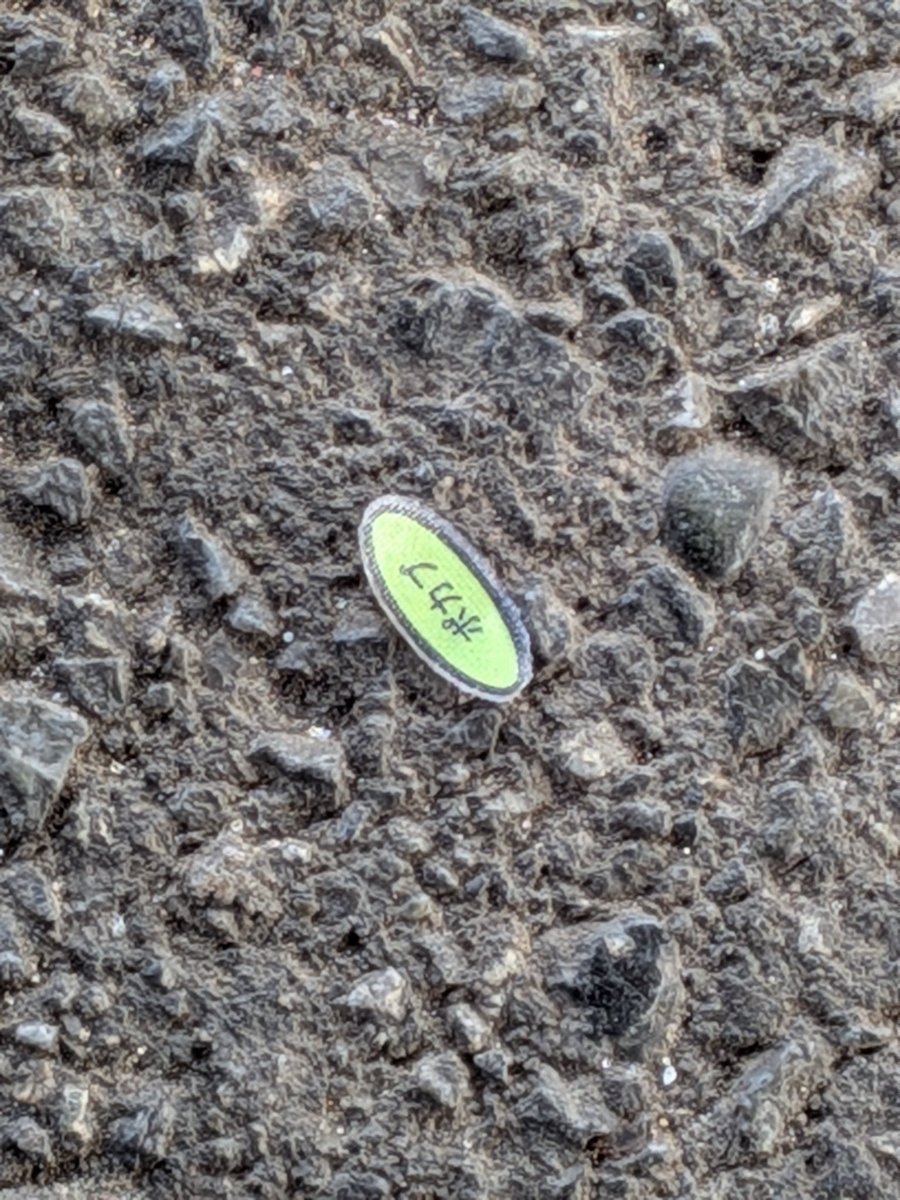 ん………？

あっ…！