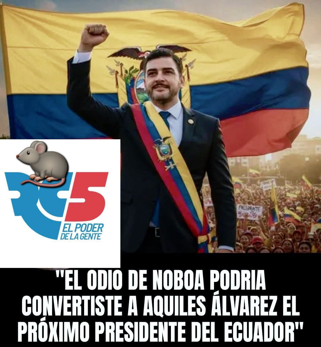 Telmo Punina tweet media