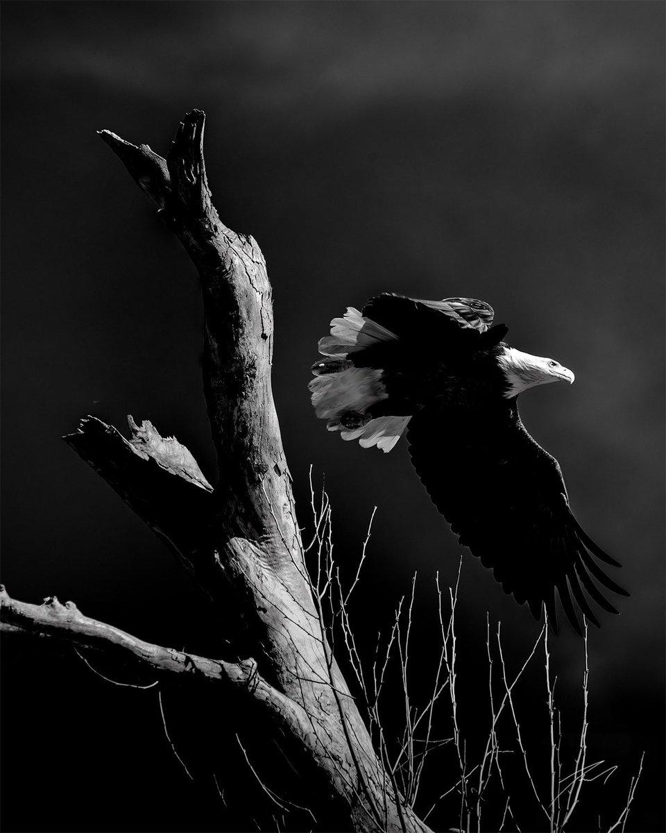 Jared Hughes tweet media