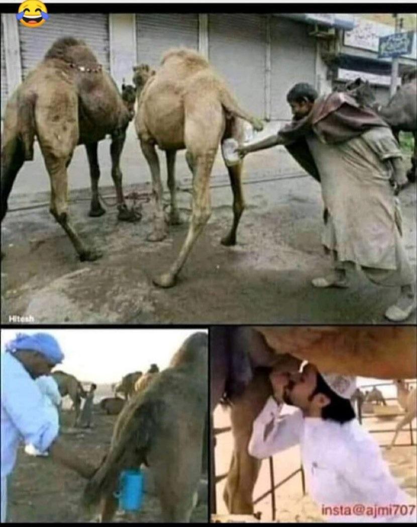 Scumbagsoftheinternet tweet media