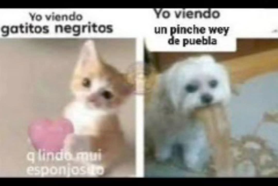 saquen la 2.3 (@saquenla2) on Twitter photo 