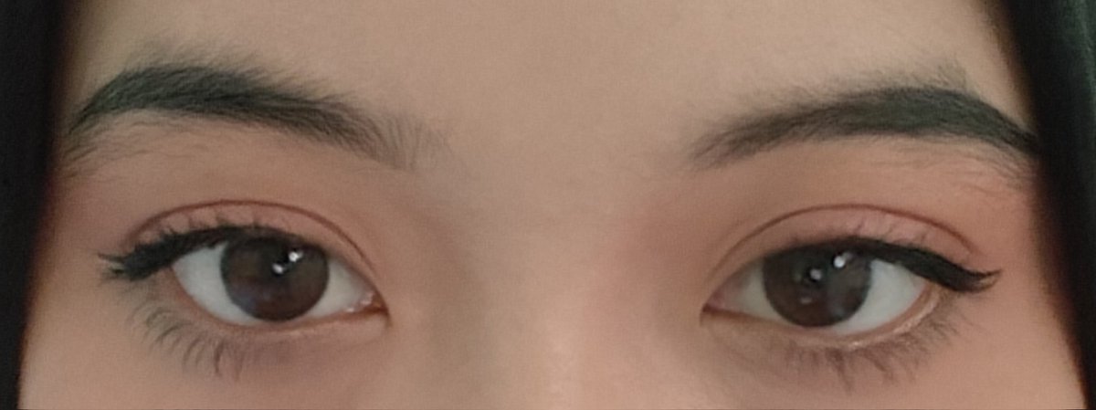 El 🇵🇸🇵🇸 tweet media