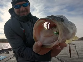 Bass Fishing Tips tweet media