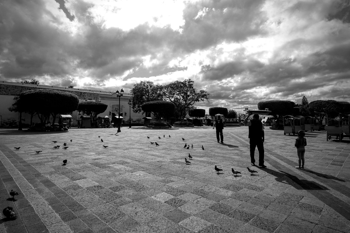 TheCarki tweet media