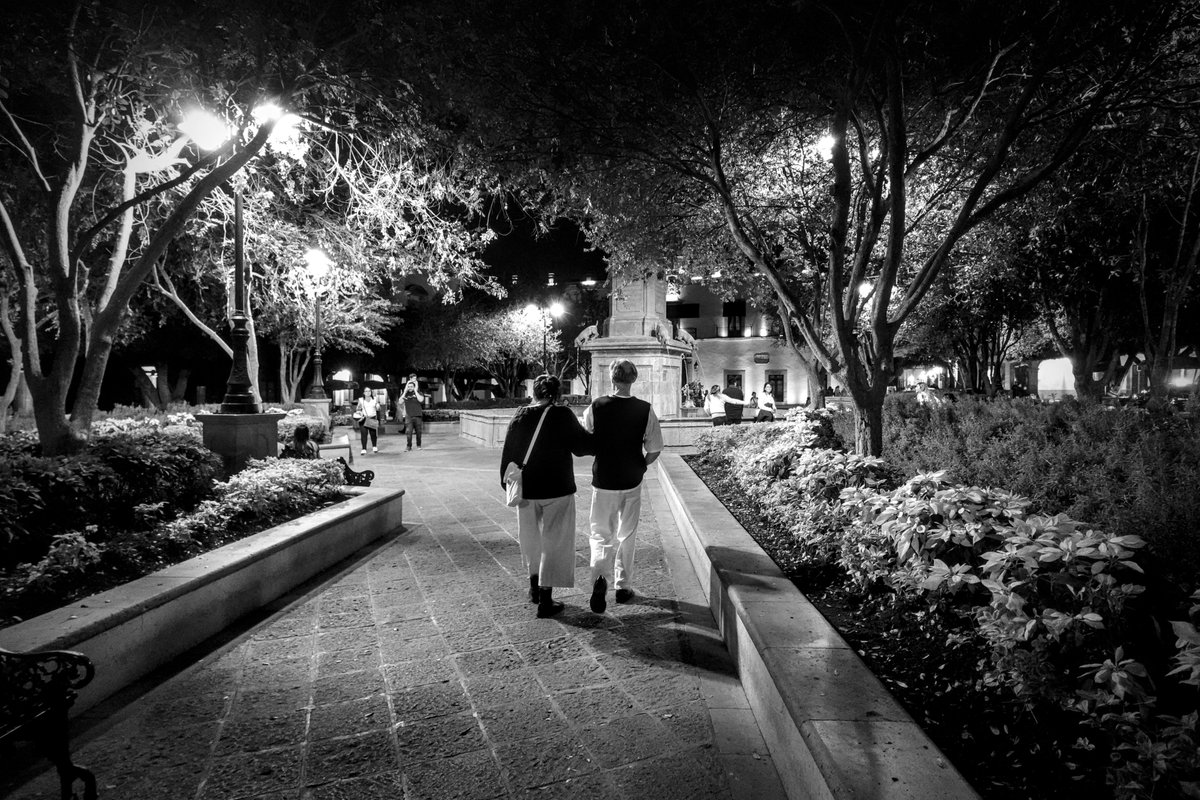 TheCarki tweet media