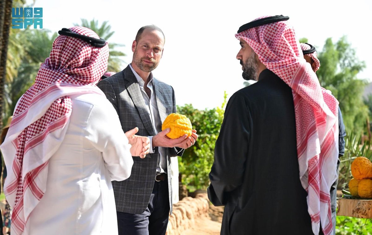 NOooo___l's tweet photo. #العلا 
#Alula 
🇸🇦🤍 https://t.co/YqPIINMsdw