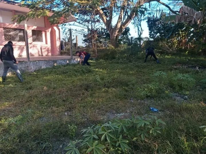 FEEM de Cuba ✌️🇨🇺 tweet media