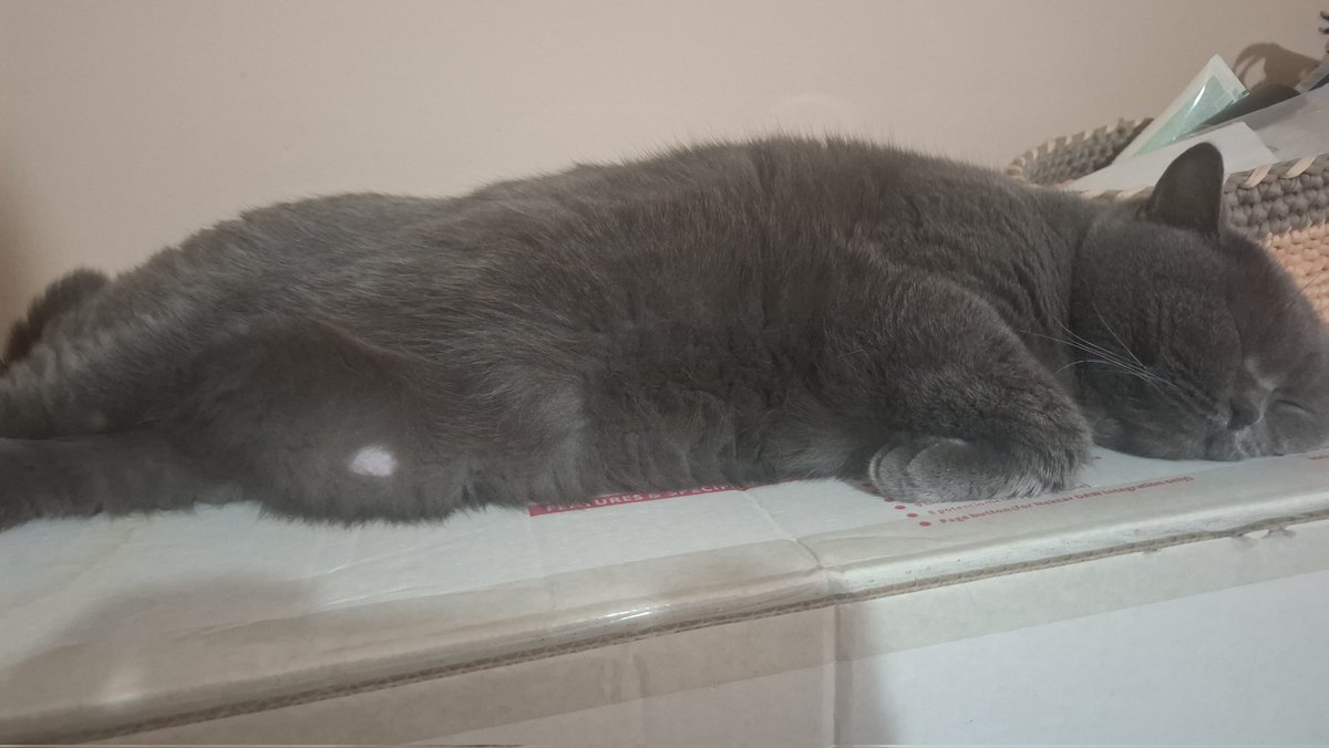 7 büyük günahtan oburluk