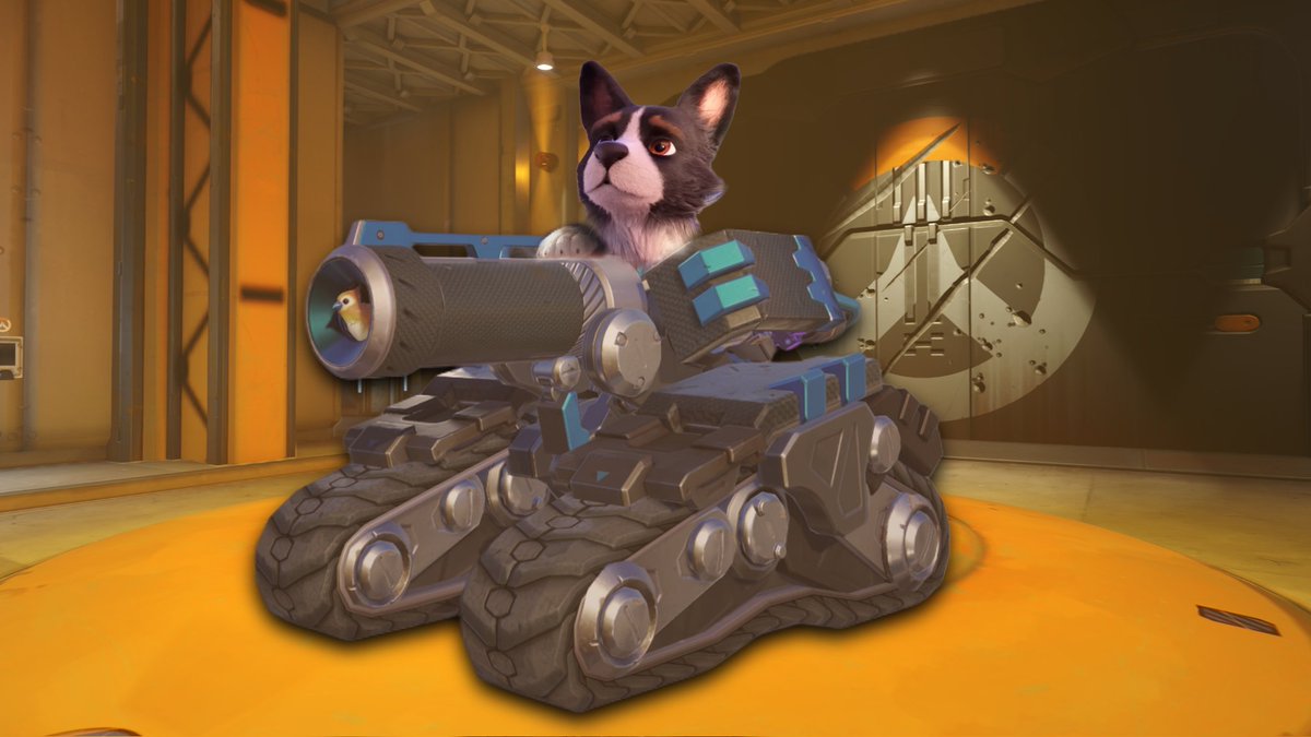 The Infopayload tweet media