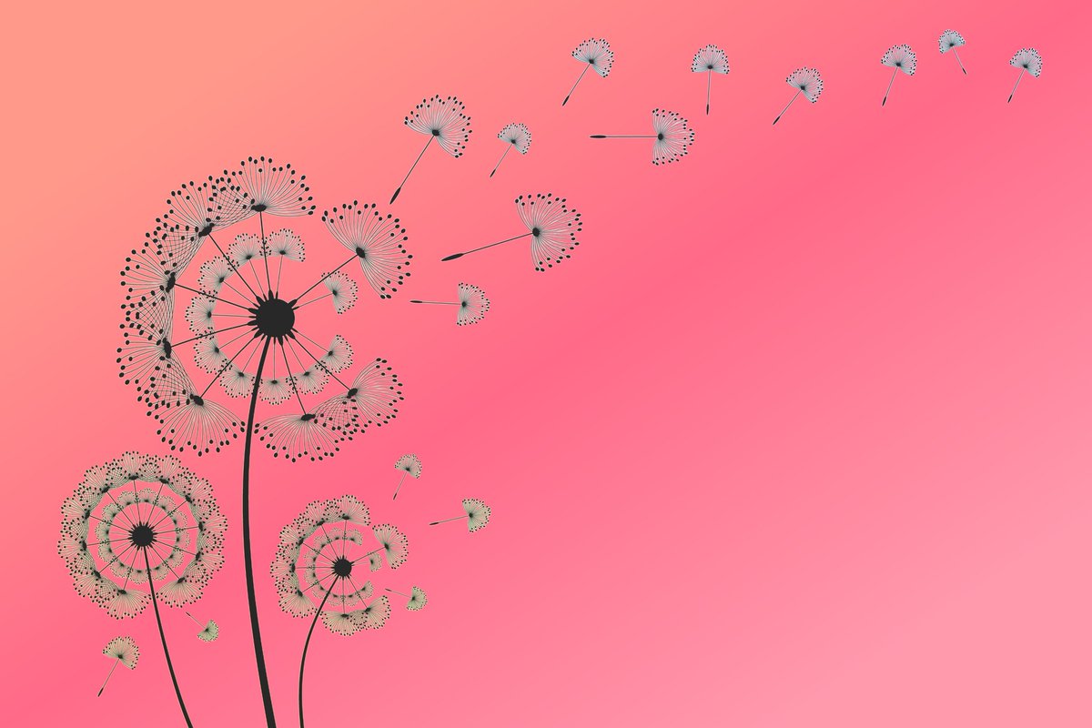 #Akrep
Sabırlı olun; bazen bekleme süresi daha uzun olur çünkü elde edeceğiniz nimet daha büyüktür.
#sondakika
#astroloji
#sevgililergünü