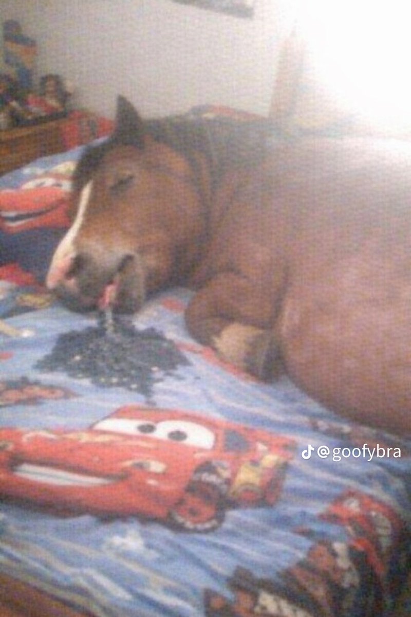 Clive Frank Aymen Richard tweet media