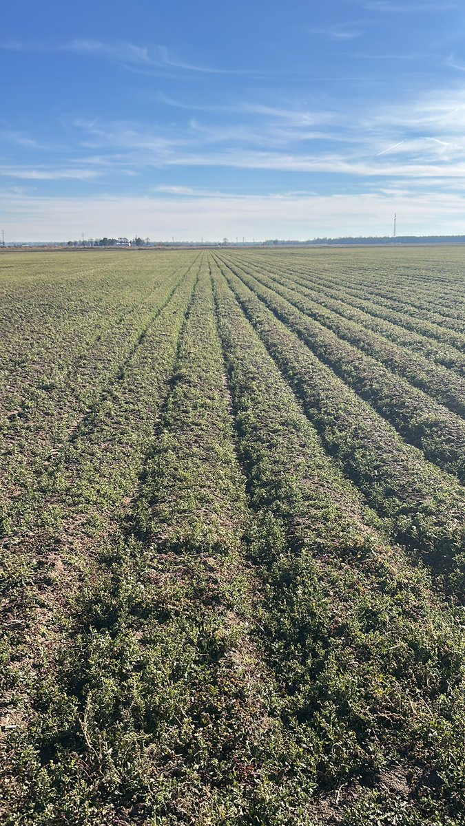 The Notorious H.Y.D.R.O. tweet media