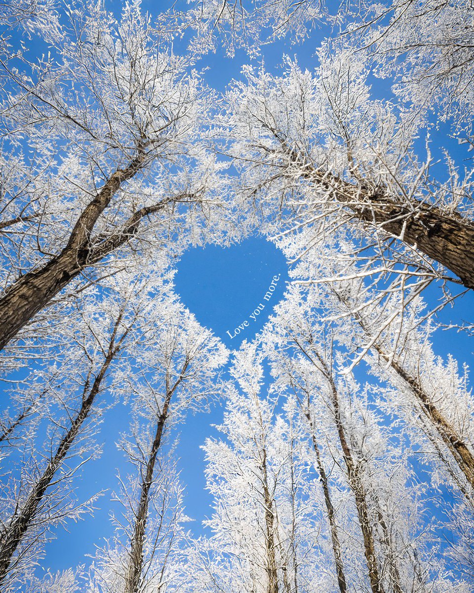 Send this to someone who comes to mind. ❤️

Make it yours! Add any phrase you love with the Text tool in Photoshop Elements, then style it in just a few clicks.