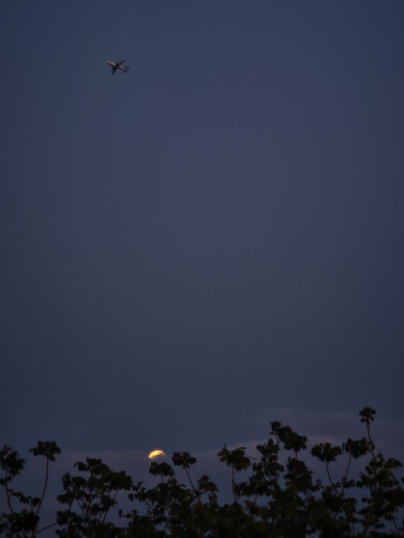 "Muazzam bir ihtimalsin,
gökyüzüne dokunmak gibi.
Tüm maviliklerin sahibi olmak gibi,
hani nasıl desem, mutlu olmak gibi"

🌕 🌕