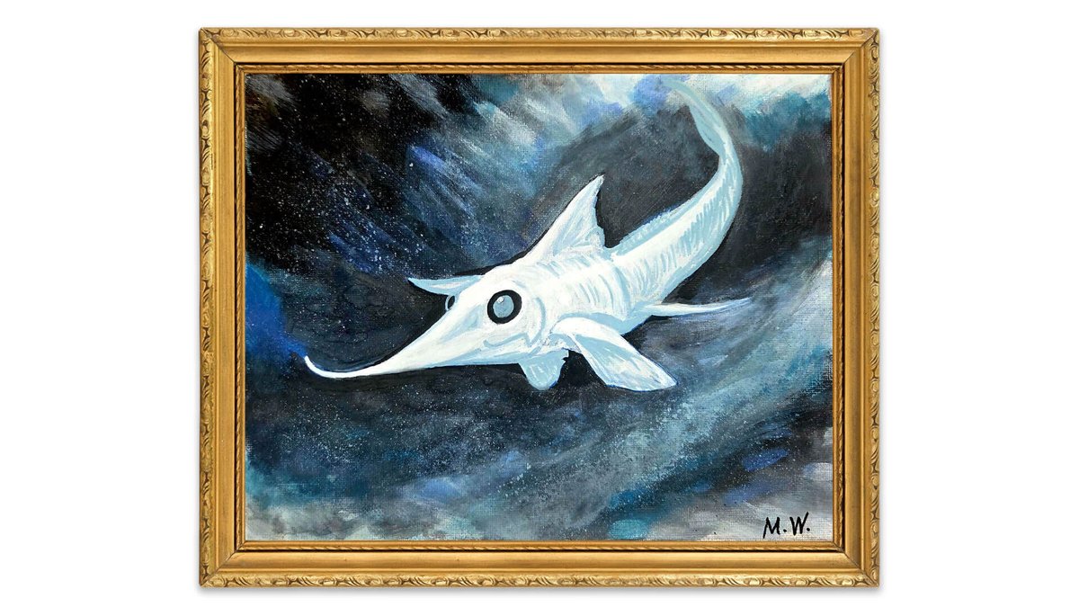 NOAA Ocean Exploration tweet media