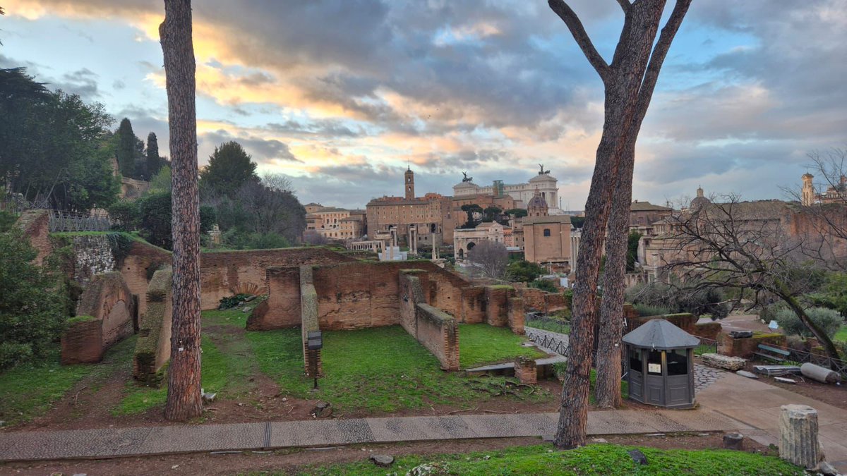 Newman Catholic College tweet media