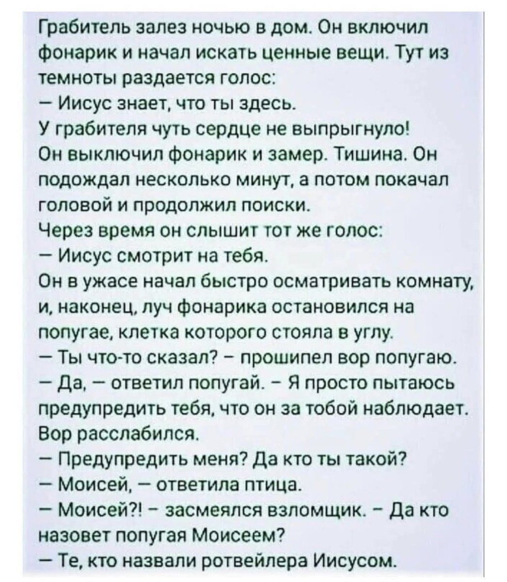 SemennicovaV's tweet photo. https://t.co/C0Qcg26n6A