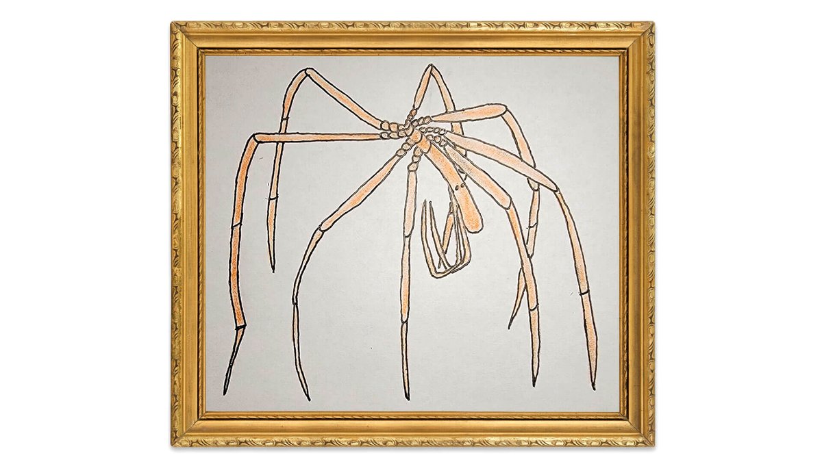 NOAA Ocean Exploration tweet media