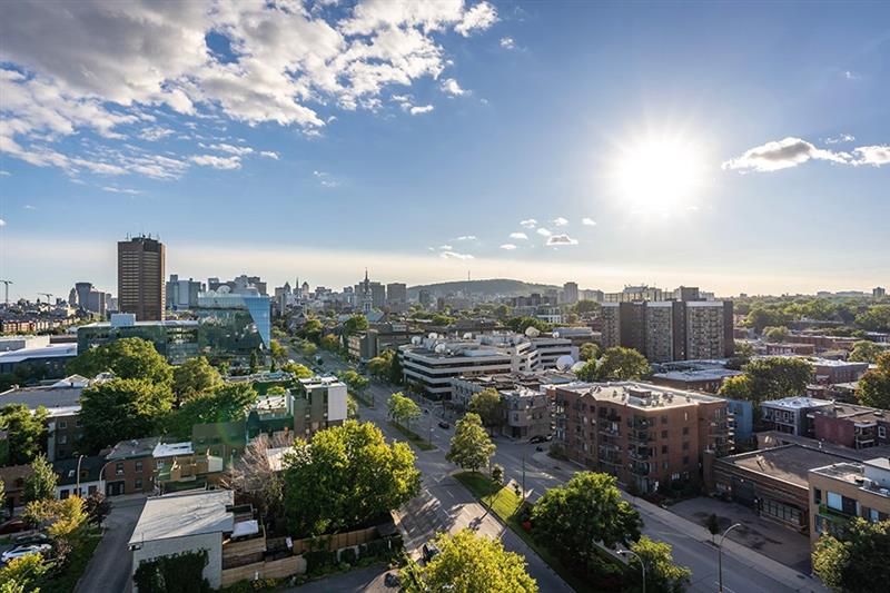 Montréal International tweet media