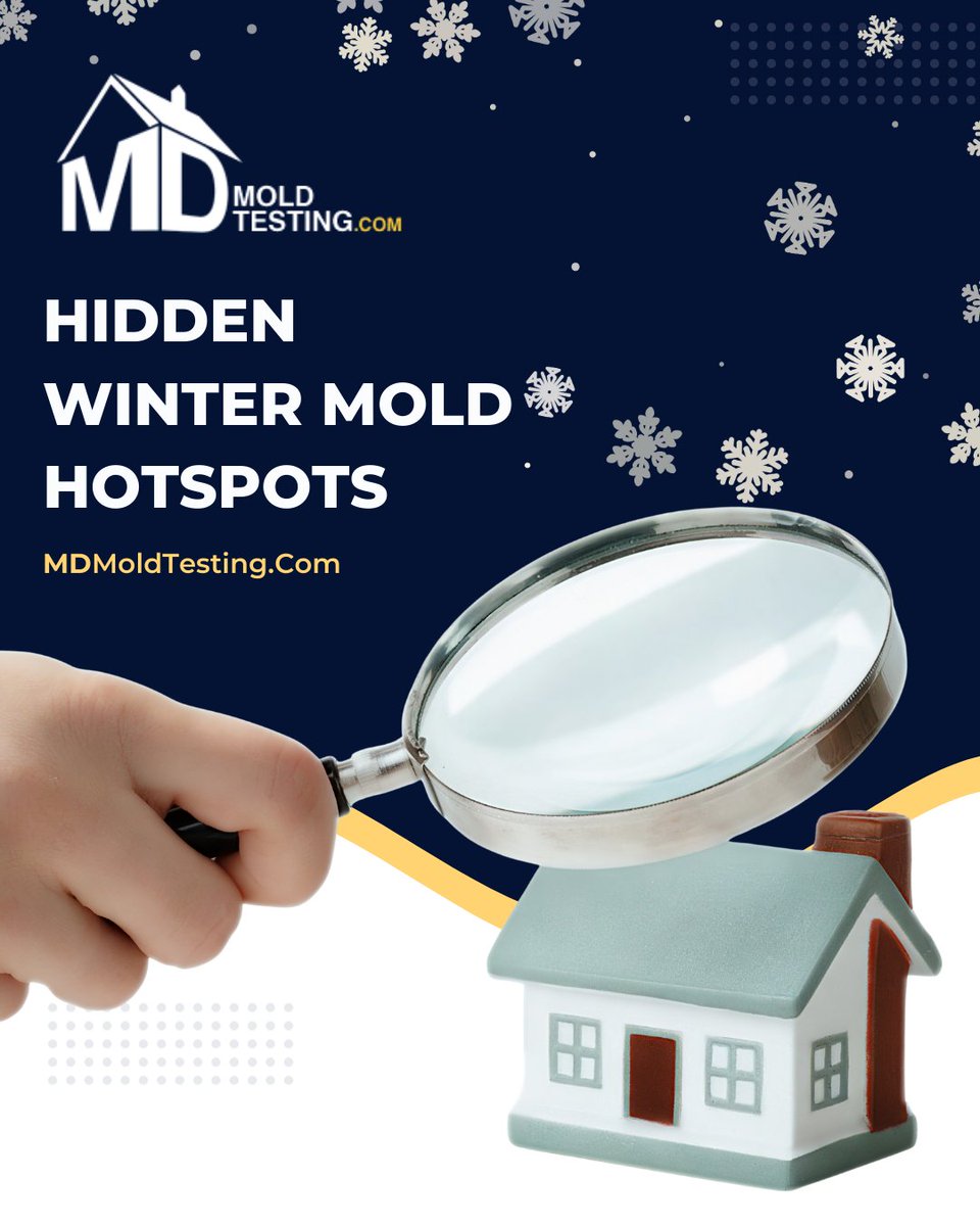 MD Mold Testing (@MdMold) / Posts / X