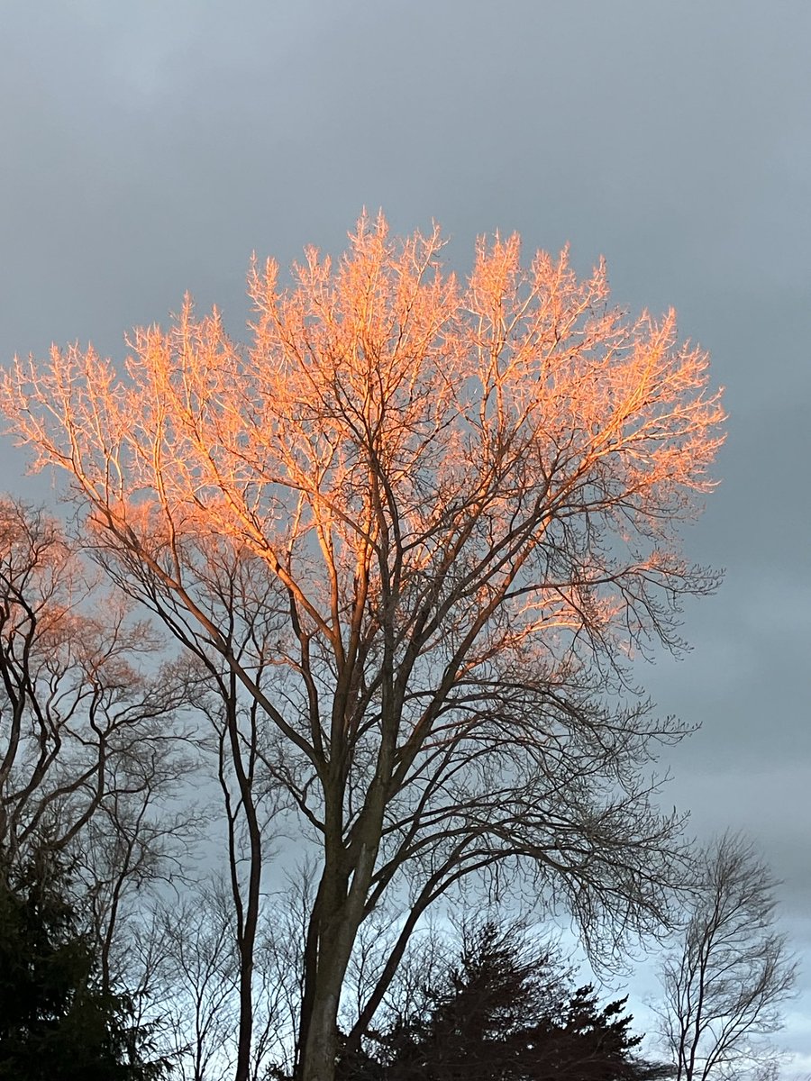 JimiRocks tweet media