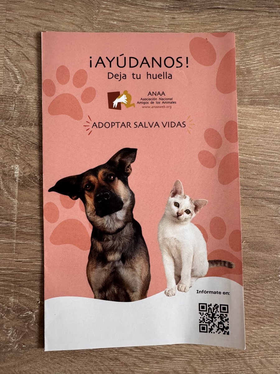 Chenoa CFans Oficial tweet media