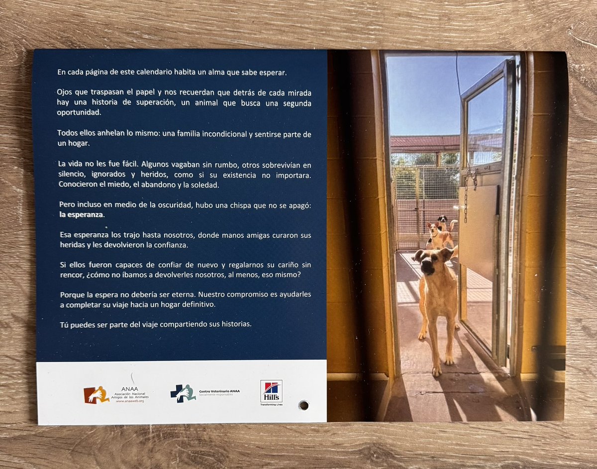 Chenoa CFans Oficial tweet media