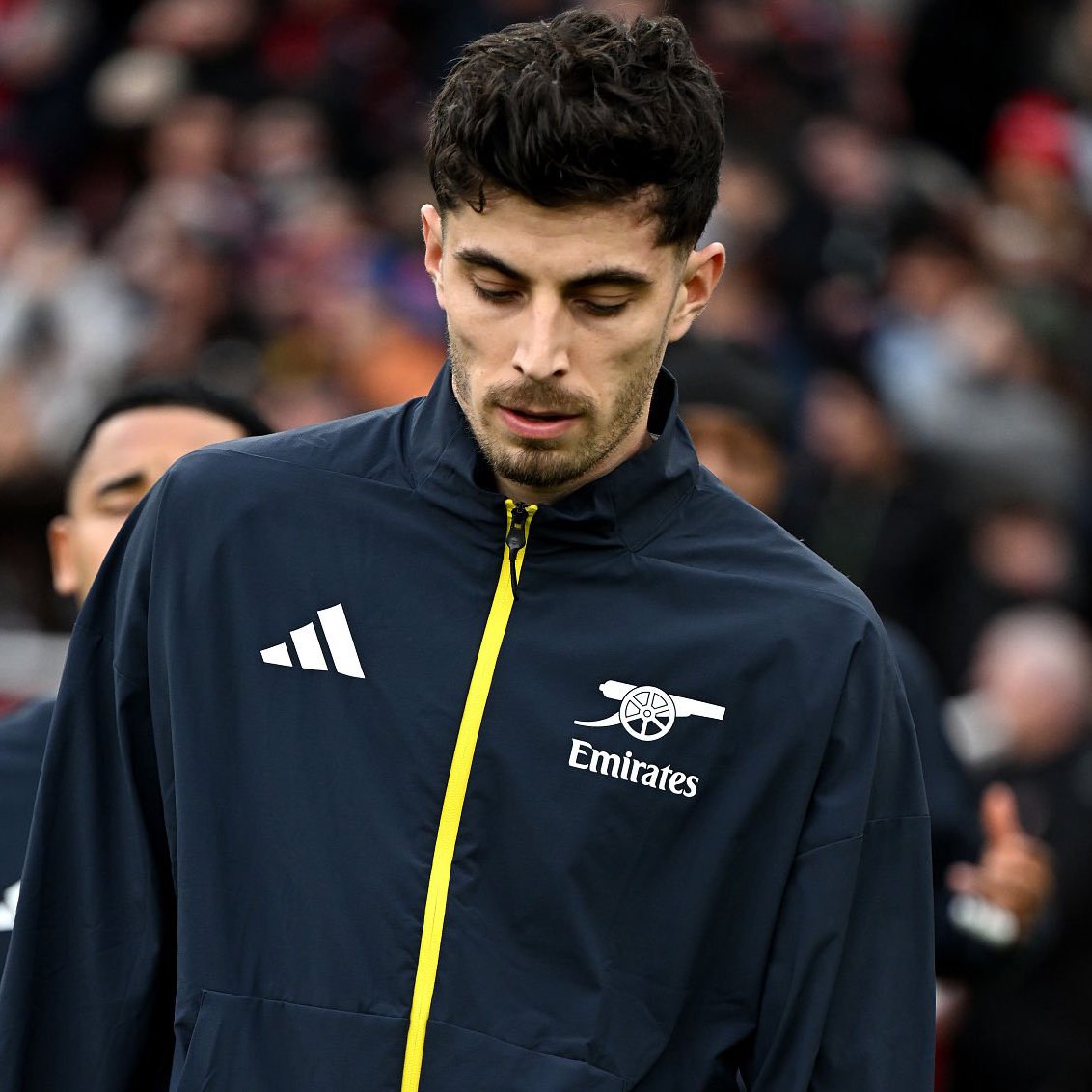 DailyAFC tweet media